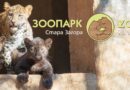 Денят на детето в Зоопарк Стара Загора – творчески работилници, спорт и игри за малки и големи
