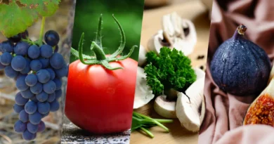7 природни продукта, полезни за органите от човешкото тяло, на които приличат