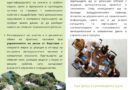 Изменението на климата: общо предизвикателство, изискващо колективен отговор