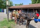 Забавно и поучително приключение преживяха децата от трета група „Захарно петле“ на Детска градина „Светлина“ Стара Загора