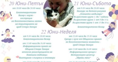 Участниците в „Бедечка фест“ може да се запознаят с куче от Общинския приют в Стара Загора