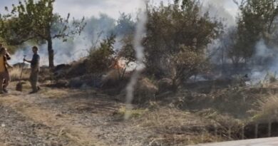 Кметът на Стара Загора Живко Тодоров:“Пожарът в местността „Седми километър“ е под контрол. Жертви няма!“