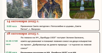 И утре, и в събота старозагорското село Яворово празнува