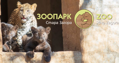 Зоопарк Стара Загора преминава на зимно работно време от 1 ноември 2025 г.