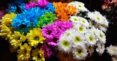 В Стара Загора празнуват над 2200 именници в Деня на Свети Мина