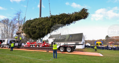 Коледното дърво за „Рокфелер център“ отпътува към Ню Йорк