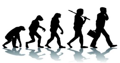 Генетични промени са позволили на ранните хора да ходят на два крака, твърдят учени