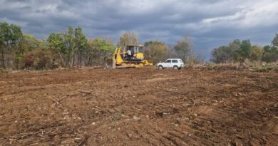 На „Седми километър“ ще има само гора!  На 22 ноември 2025г. предстои залесяване на нови 13 хил. фиданки