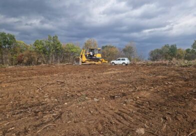 На „Седми километър“ ще има само гора! На 22 ноември 2025г. предстои залесяване на нови 13 хил. фиданки На „Седми километър“ ще има само гора! На 22 ноември 2025г. предстои залесяване на нови 13 хил. фиданки