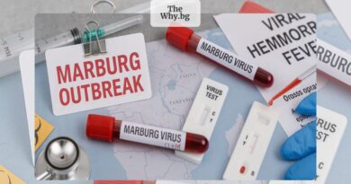 Смъртоносният вирус Марбург се завръща?