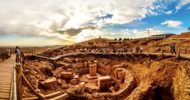 На Гьобекли тебе ли е заченато човечеството?