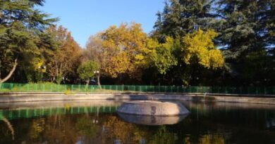 Стара Загора ще спази традицията с хвърляне на Богоявленския кръст на 300 метра южно от езерото „Загорка“ Стара Загора ще спази традицията с хвърляне на Богоявленския кръст на 300 метра южно от езерото „Загорка“