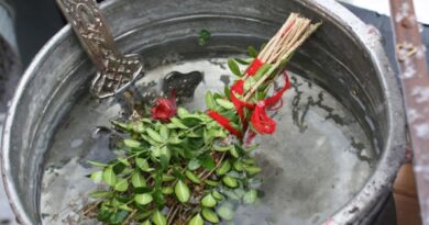 Утре отбелязваме Попова Коледа (ден преди Богоявление – Йордановден).