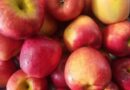 Учени откриха, че консумацията само на една ябълка всеки ден води до… Вижте повече..