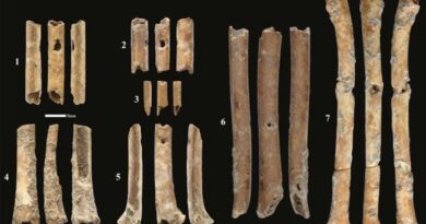 Учени откриха най-старите дървени инструменти на археологически обект в Гърция