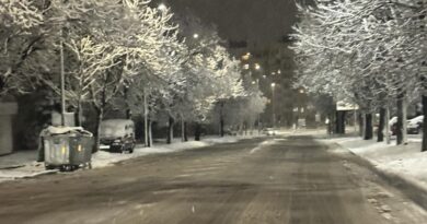 В Стара Загора 22 машини и служители от звената „Чистота“ и „Озеленяване“ са на терен