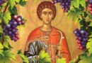 Почитаме днес св. Трифон – славен лечител и покровител на лозари и винари