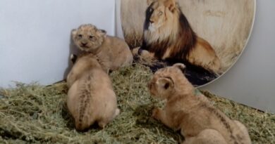 Зоопарк Стара Загора има трима нови обитатели