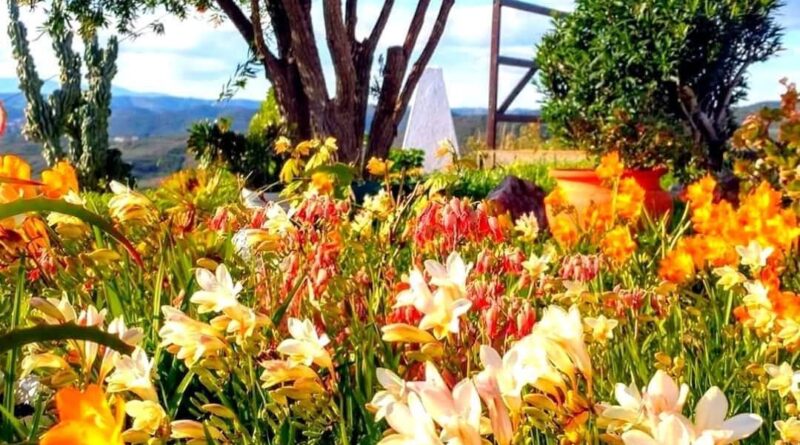 Мъдрост от арабските народи в 31 пословици