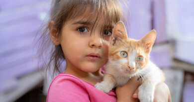 Откриване на фотоизложбата „Корени и Криле“