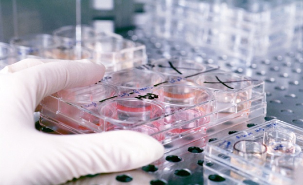 Световен ден на имунологията отбелязваме на 29 април