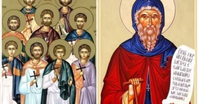 29 април: В памет на преподобния отец Мемнон Чудотворец