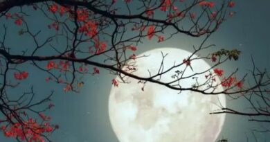 Първото лунно затъмнение през м. май носи щастие за четири зодии