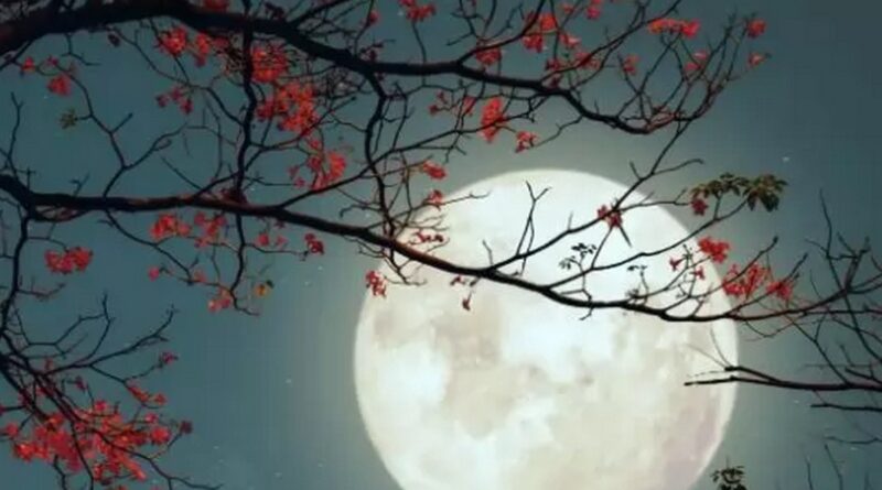 Първото лунно затъмнение през м. май носи щастие за четири зодии