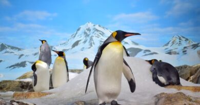 25 април: Световен ден на пингвина