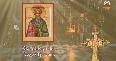 Св. преподобни Теодор Трихина († 20 април, 400)