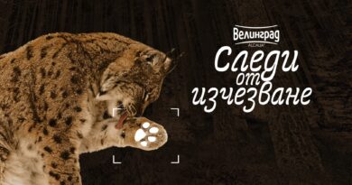 Зоопарк Стара Загора отново е домакин на пътуващата изложба „Следи от изчезване“