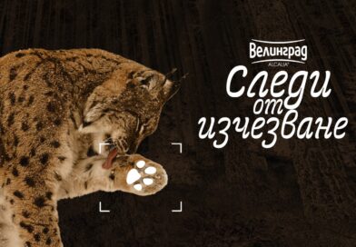 Зоопарк Стара Загора отново е домакин на пътуващата изложба „Следи от изчезване“