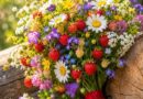 Истините на живота!!! Истините на живота!!!