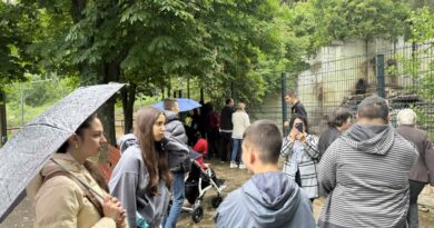 Над 30 деца и младежи от Дневен център за деца и младежи с увреждане – Стара Загора посетиха зоопарка
