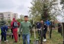 Мъжете от клуб „Българинът“ при ДГ „Светлина“ дадоха добър пример на децата си