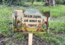 За Детска градина „Светлина“ Стара Загора,  Май е месеца на родителството и живия пример