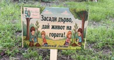 За Детска градина „Светлина“ Стара Загора,  Май е месеца на родителството и живия пример