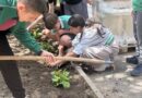  В ОУ „Кирил Христов“ редовно се грижат за биоразнообразието