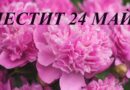 Честит свят и благословен 24 май, Българи!
