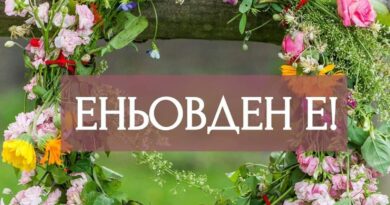 На Еньовден природата говори тихо. Чуват я онези, които умеят да слушат. 🌿☀️
