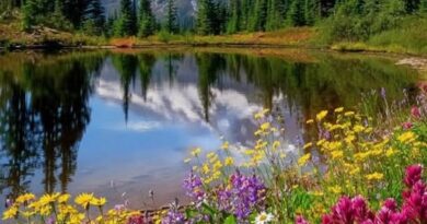 На 15 юни се отбелязва Световен ден на природната фотография
