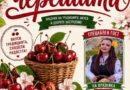Кирилово кани на XIII Празник на черешата с музика, фермерски пазар и сладкарски демонстрации