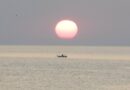 Прочетете преди 21 юни: Започва сезонът на Рака – най-емоционалният месец на годинатаПрочетете преди 21 юни: Започва сезонът на Рака – най-емоционалният месец на годината