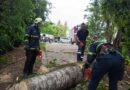 Община Стара Загора обработи всички сигнали след бурята, екипите работиха без прекъсване през нощта