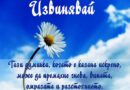Кои думи най-трудно излизат от душата на съвременния българин?