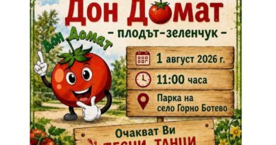 Девето издание на празника на домата ще се проведе в старозагорското село Горно Ботево