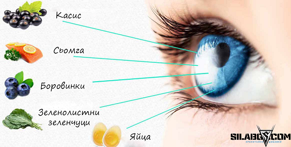 7 храни, които са полезни за очите 7 храни, които са полезни за очите