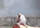 В Зоопарк Стара Загора се роди малко маймунче