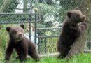 Продължава записването за петата доброволческа кампания на Зоопарк Стара Загора
