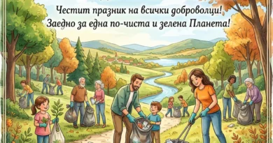 Днес е Световен ден на почистването
